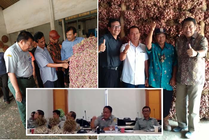 Ditjen Hortikultura Berupaya Tiadakan Impor Bawang Merah Tahun Depan